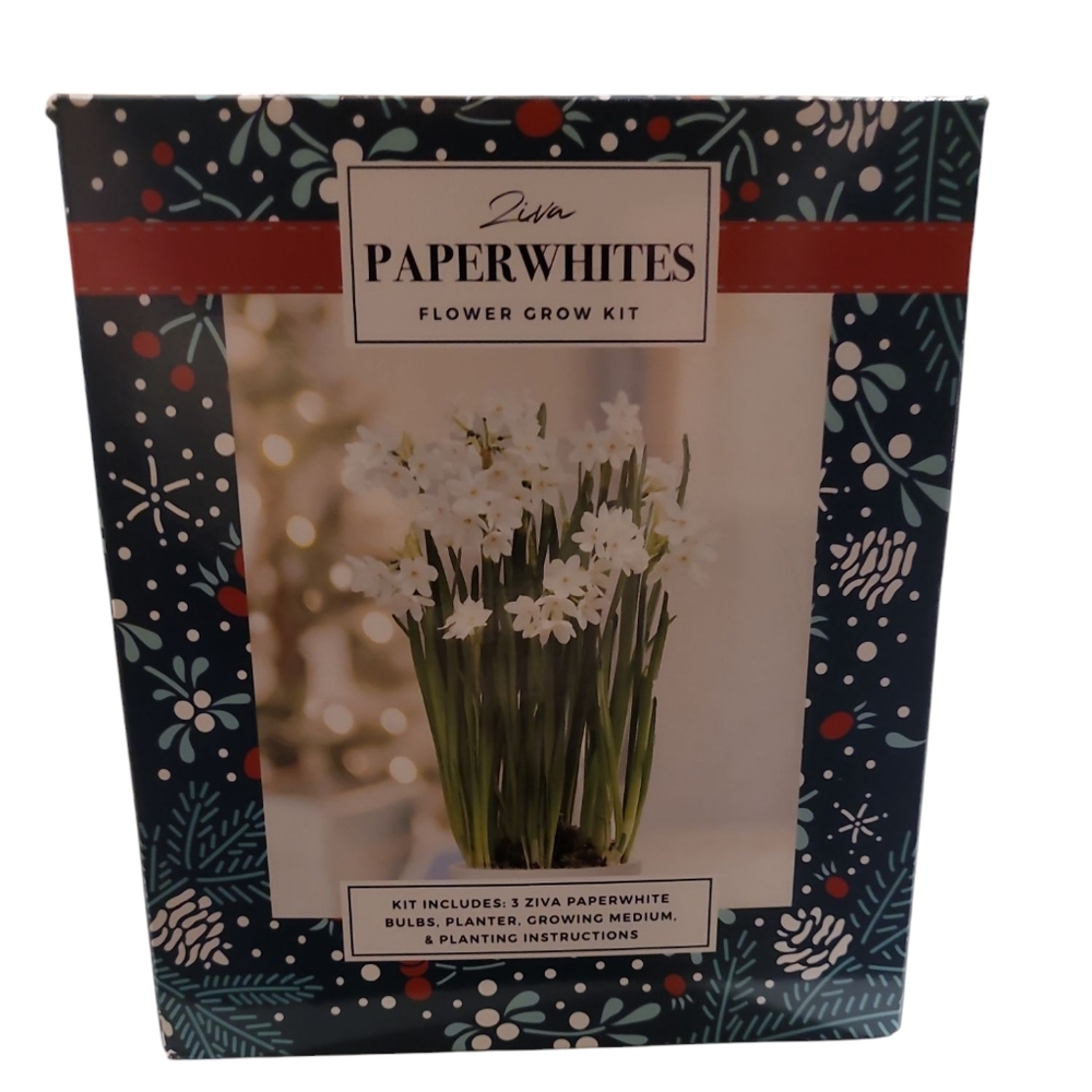 Ziva Paperwhites Flower Grow Kit NIB